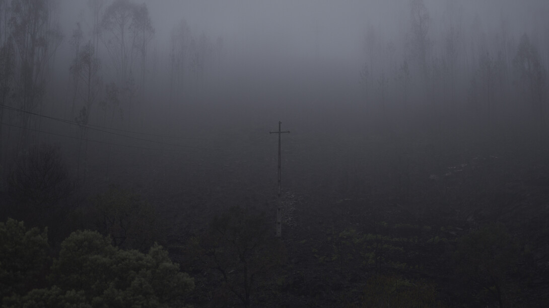 João Pedro Almeida. Cortesia da Narrativa