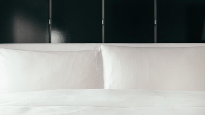101 Hotel