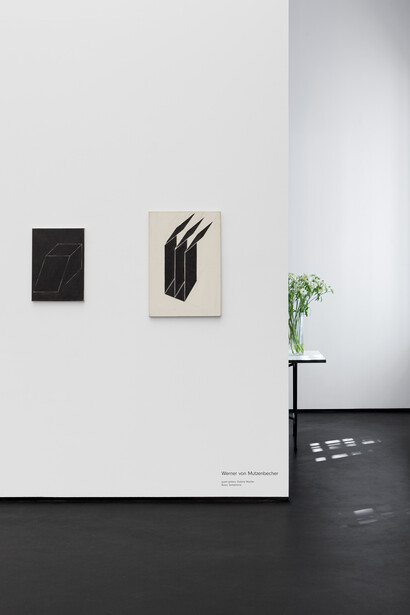 Werner von Mutzenbecher, exhibition view. Courtesy of Gunia Nowik Gallery