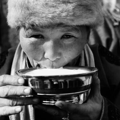 Camel. Courtesy of Pitt Rivers Museum