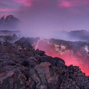 Wildlife Photographer of the Year. Courtesy of Royal BC Museum