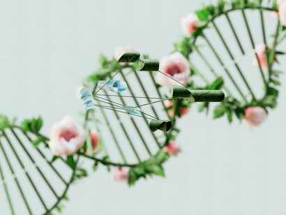 Uma das áreas mais consolidadas da medicina preditiva é a oncogenética. Um exemplo marcante são as mutações nos genes BRCA1 e BRCA2, que aumentam significativamente o risco de câncer de mama e ovário. Mulheres que apresentam essas mutações podem adotar estratégias de vigilância intensiva, mudanças no estilo de vida ou até mesmo cirurgias preventivas


