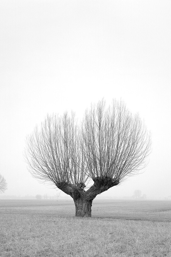 Paola de Pietri, Untitled, Questa Pianura series, 2014, Courtesy Galerie Les filles du calvaire