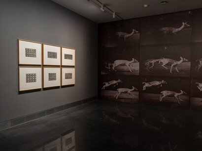 Eadweard Muybridge, vista de  exhibición. Cortesía del Museo Universidad de Navarra