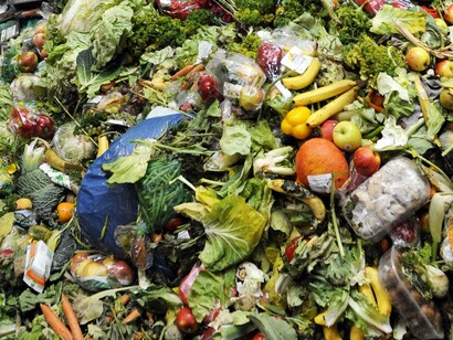 The amount of food lost or wasted every year is equivalent to more than half of the world's annual cereals crop