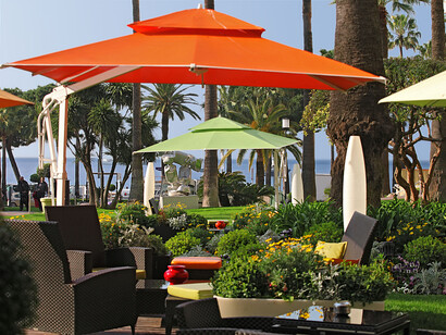 Le Cercle - Terrasse