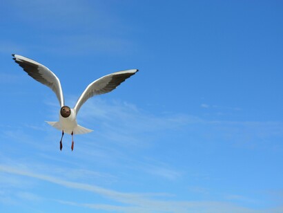 Nesse ponto, a realidade prescinde do excesso de explicação. As certezas perdem rigidez. Palavras continuam belas, porém já não ocupam todo o espaço. O gesto ganha protagonismo. Um gesto mínimo, quase invisível: sentar, ficar, ouvir, permanecer. Nada heroico. Tudo essencial