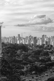 São Paulo, Ibirapuera Park. Photo Paulo Kawazoe