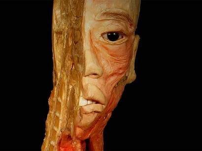 Human Bodies. Rostro humano