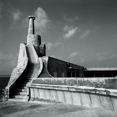 Washingtonia, Series, Napoli. Ordine e disordine, Palermo 1996 @ Giovanni Battista Maria Falcone – Bagheria, Italy