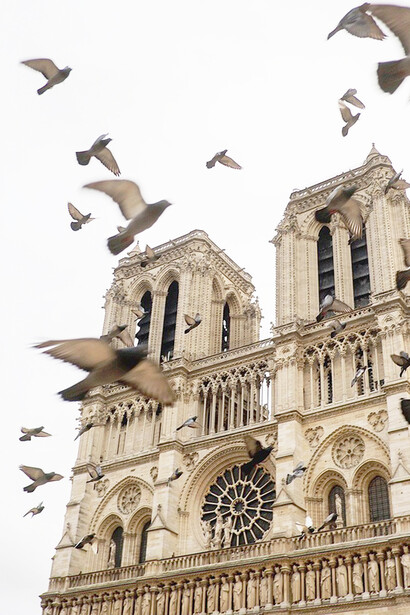 Siempre rodeada de un velo de misterio, la catedral de Notre de Dame es uno de los monumentos más visitados de París