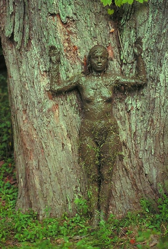 Ana Mendieta, Tree of Life, 1976, Lifetime colour photograph, 50.8 x 33.7 cm, Collection Raquelin Mendieta Family Trust, © The Estate of Ana Mendieta Collection, Courtesy Galerie Lelong, New York