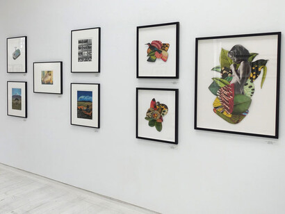 Re-Animator. Courtesy of Michael Hoppen Gallery