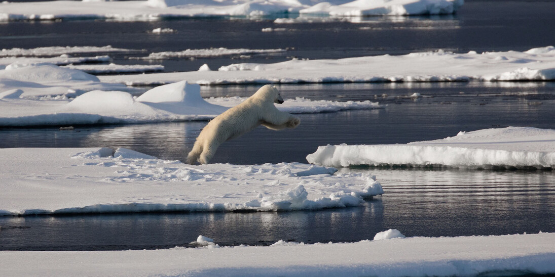 Going with the Floe, 2016 Svalbard, Photography-Archival pigment print on Baryta paper, 71x107cm. Courtesy of Alisan Fine Arts