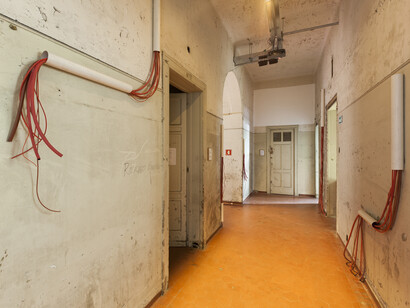 Lia Chaia, From Transfusão series, 2014, Installation, Variable dimensions, Photo: Ding Musa