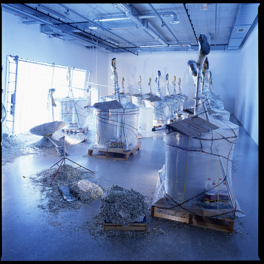 Installation view of PeaRoeFoam: My Special Purpose (2002) at Museum Moderner Kunst Stiftung Ludwig Wien, Vienna, 2002