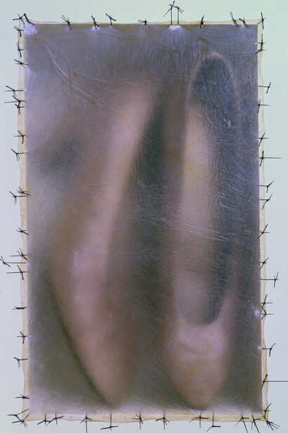 Atrabiliarios (detail), 1992–2004
Shoes, drywall, paint, wood, animal fiber, and surgical thread; 43 niches and 40 boxes, overall dimensions variable, San Francisco Museum of Modern Art, Accessions Committee Fund purchase: gift of Carla Emil and Rich Silverstein, Patricia and Raoul Kennedy, Elaine McKeon, Lisa and John Miller, Chara Schreyer and Gordon Freund, and Robin Wright © Doris Salcedo  