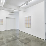 Philippe Decrauzat, Soon all shades disappear, exhibition view. Courtesy of Nara Roesler Gallery