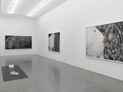 Josephine Pryde. Courtesy of Simon Lee Gallery