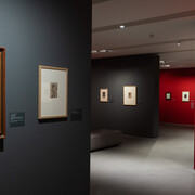 Félicien Rops, Laboratory of lust, exhibition view. Courtesy of Kunsthaus Zürich