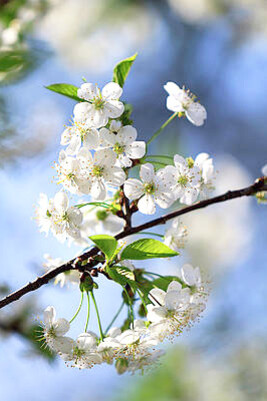Quello che rende ancora più difficile la comunicazione è la distanza tra i cittadini e l’industria alimentare, foto Valeria Nardi