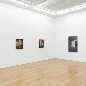 Various artists, Traces of us recent photography, exhibition view. Courtesy of Peter Blum Gallery 