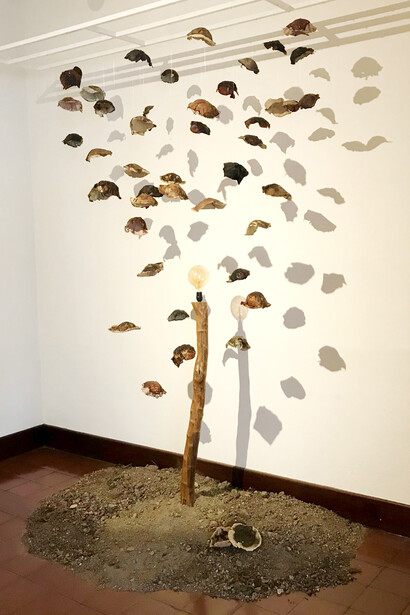 Sofía Ureña; Cosecha, instalación con biotextilkes creados por la artista. Foto cortesía del Museo de Arte Costarricense