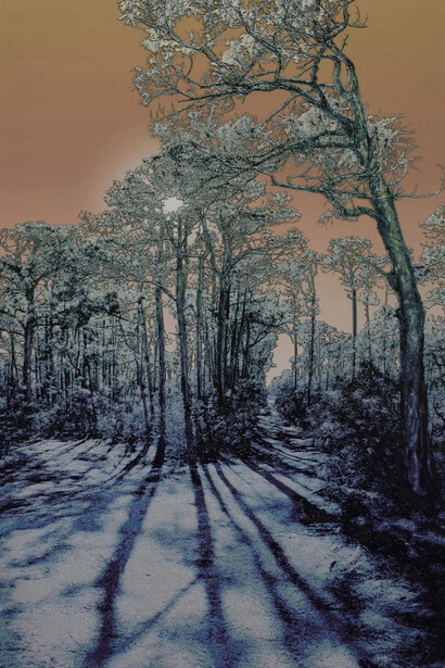 Bradlee Shanks, Road (detail). Courtesy of Momentum Gallery