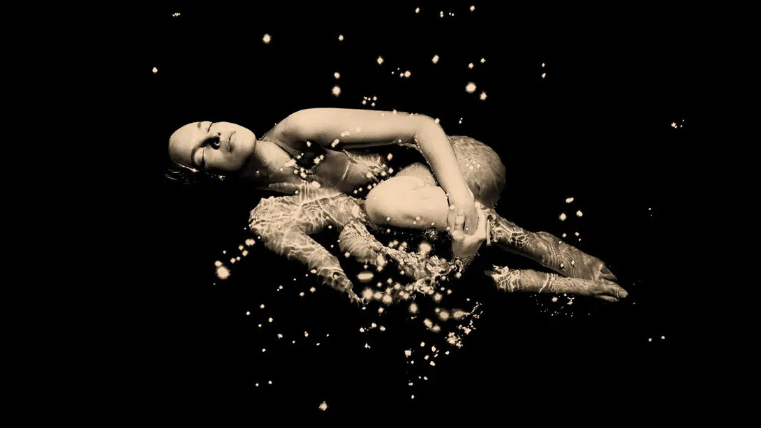 Paul Cupido, Kachō fūgetsu 花鳥風月 flower, bird, wind, moon. Courtesy of The Photographers Gallery 