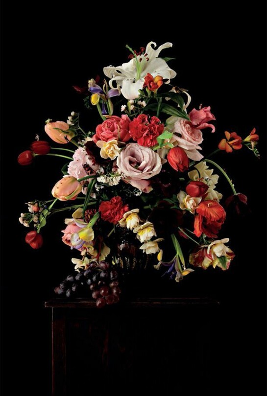 Rebecca Louise Law, Ambrosius Bosschaert the Elder 2014