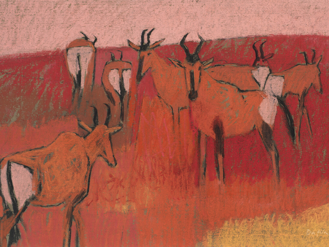 Dafila Scott, Red Hartebeest on a Red Dune