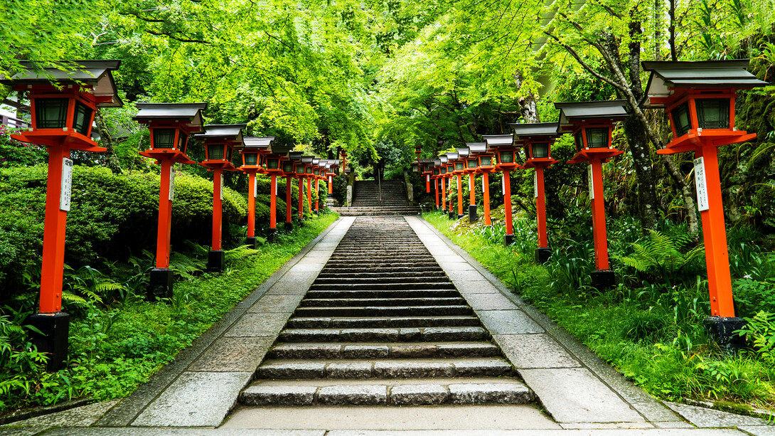 Al empezar con la disciplina nos vemos obligamos a dominar fuerzas y líneas de acción
