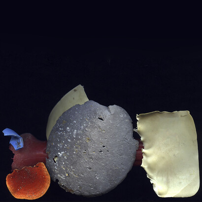 A certain collector B © Yosuke Bandai. Courtesy of TARO NASU, Tokyo