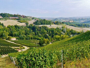Paesaggio delle Langhe a Monforte d'Alba, Piemonte, Italia