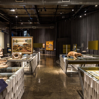 Objeto sujeito, vista da exposição. Cortesia do Museu Paranaense