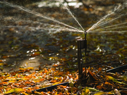 Microrrigación irrigando huertos en California,
EE.UU.
Es posible generar cambios profundos, esos que cambian la mirada que tenemos de nosotros mismos