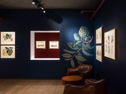 A treasury of life. Indian company paintings c. 1790-1835, exhibition view. Courtesy of DAG