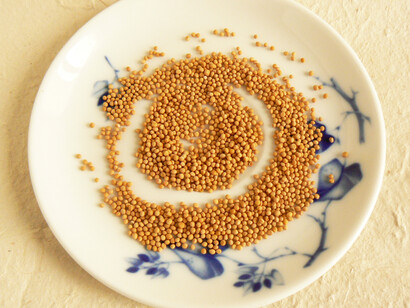 Profumati semi di senape