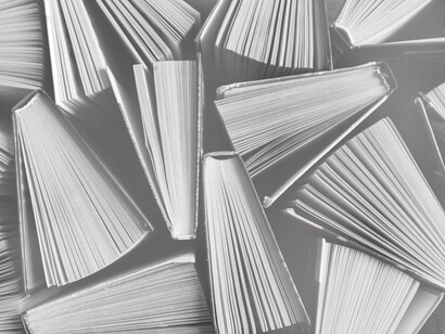 To live in the world of ideas, to think about the utopias that will feed and inspire future revolutions is the work of the thinker