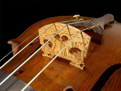 La cuerda frotada en un violín