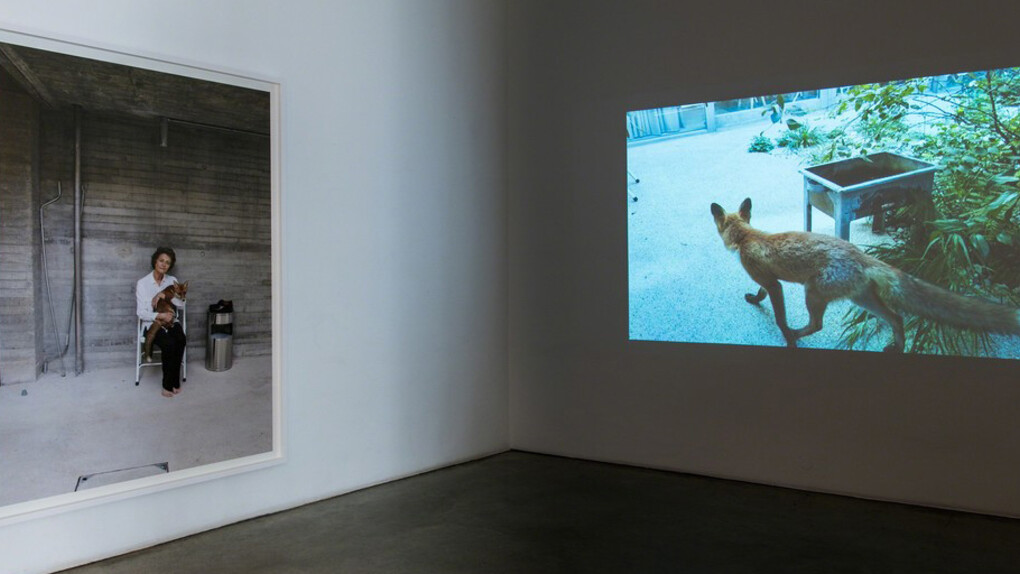 Juergen Teller. Courtesy of Christine König Galerie