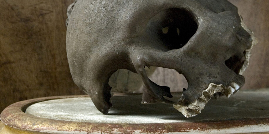 Historical Gallery. Courtesy of Museo di Storia Naturale