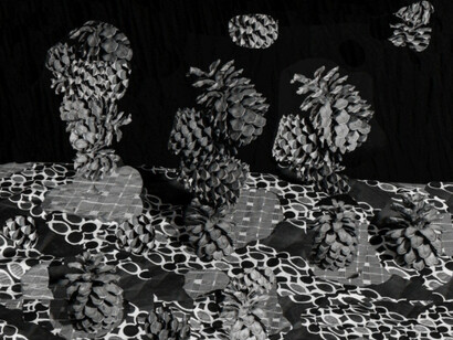 Nico Krijno. Courtesy of The Ravestijn Gallery