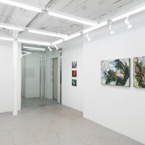 Michele Fletcher, Fooling linnaeus, exhibition view. Courtesy of Nicelle Beauchene Gallery 