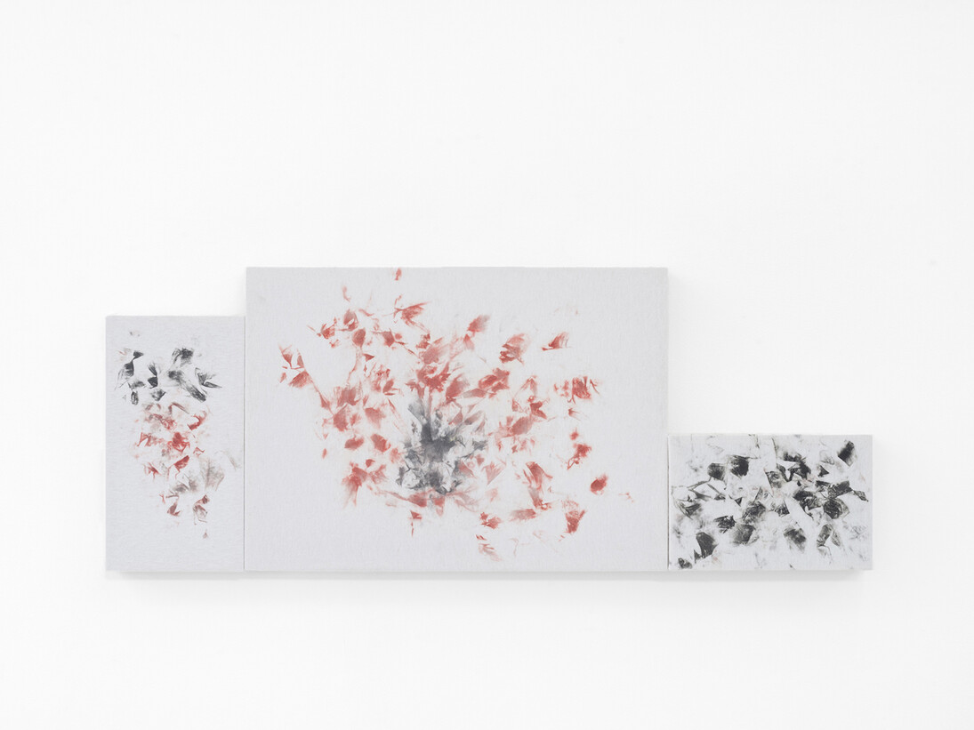 Tercerunquinto, Exhibition view. Courtesy of Proyectos Monclova