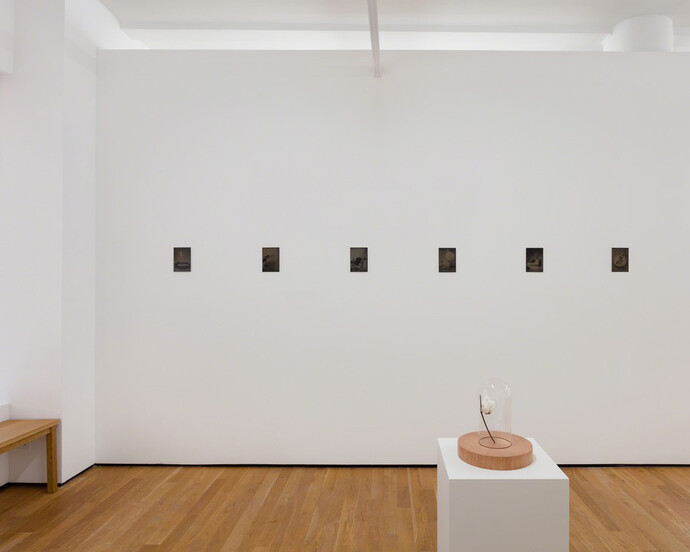 Condo New York, Exhibition view. Courtesy of Foxy Production