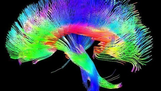 Main goal of the Giga Society is to further the establishment of mental ability test norms in the very high range