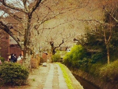 Philosopher's Walk @ Alma Reyes