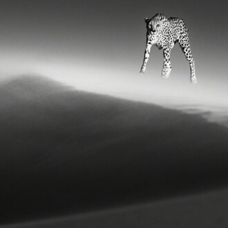 10th Annual Greenwich Holiday Stroll Weekend 2018. Courtesy of Isabella Garrucho Fine Art