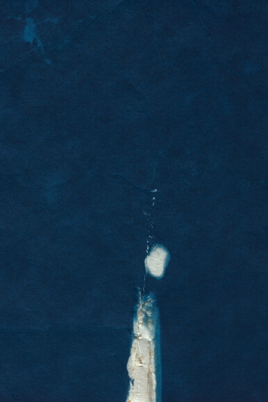 Dawn Roe. Courtesy of Tracey Morgan Gallery